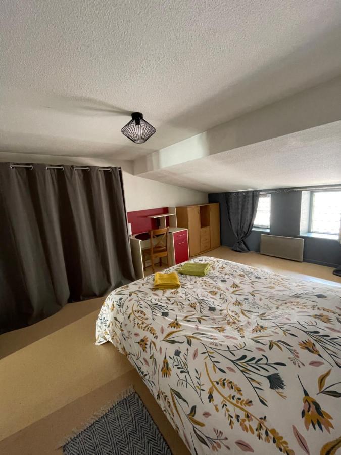 Appartement Cosy Rue Chaussee Verdun-sur-Meuse Exteriör bild